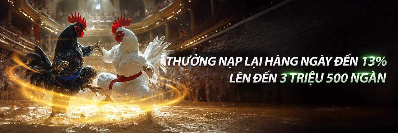 Đá Gà Trực Tiếp 2021 - Sảnh Cược Hấp Dẫn